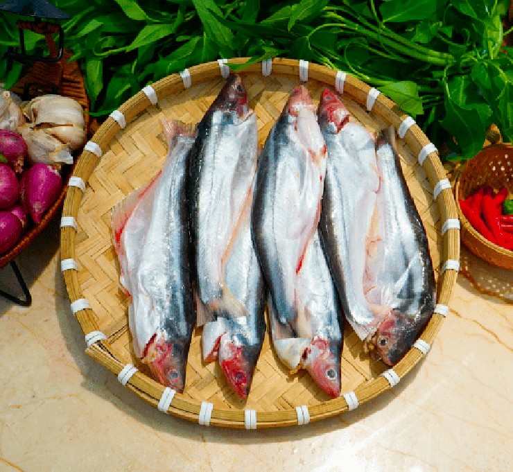 Điểm đặc trưng nhất là hai sọc đen chạy dọc hai bên thân. Kích thước cá dao động từ 2cm đến hơn 20cm tùy độ tuổi.&nbsp;