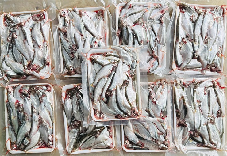 Cá xác còn được gọi bằng nhiều cái tên như cá xác sọc, cá sát sọc, cá sóc sọc hay cá tra Xiêm. Tên khoa học của loài cá này là Pangasius macronema, thuộc họ cá da trơn, sống chủ yếu ở các sông, rạch và kênh mương tại Đồng bằng sông Cửu Long.&nbsp;