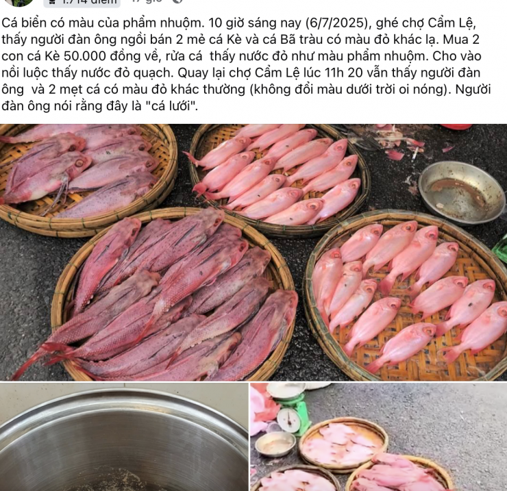 Phản ánh của người dân trên mạng xã hội về "cá biển đổi màu" mua tại chợ Cẩm Lệ