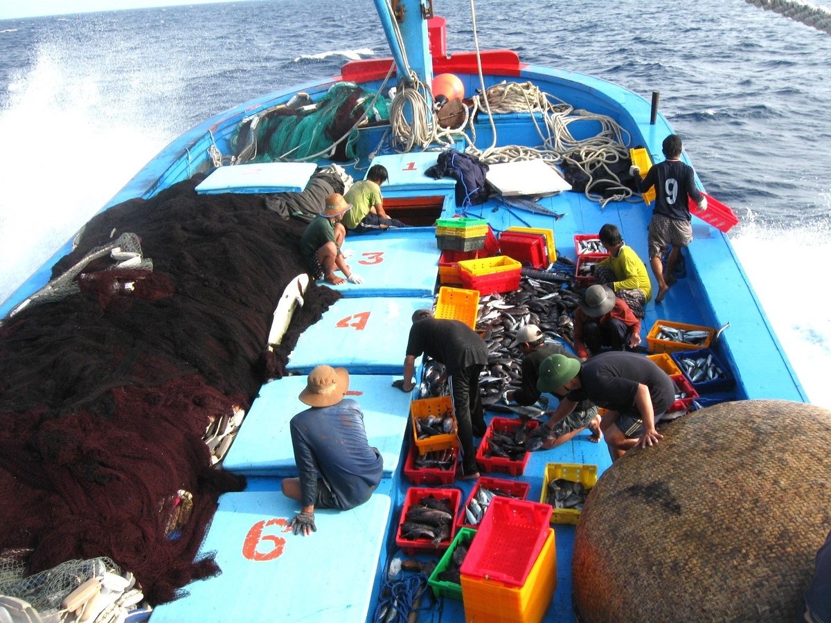 Việc định danh tàu cá gắn với cơ sở dữ liệu dân cư giúp ngành chức năng thuận lợi trong công tác quản lý giám sát hành trình, kiểm soát tàu. Ảnh: V.Đ.T.