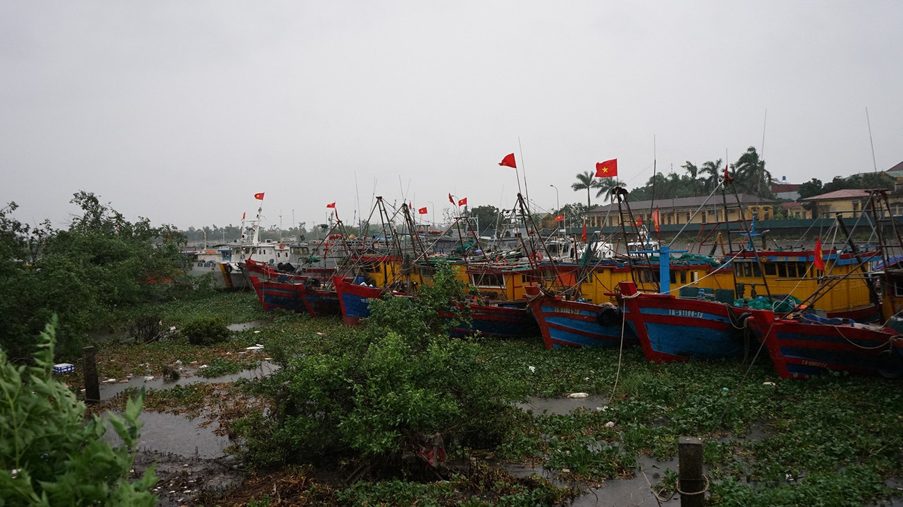 tp-01648.jpg