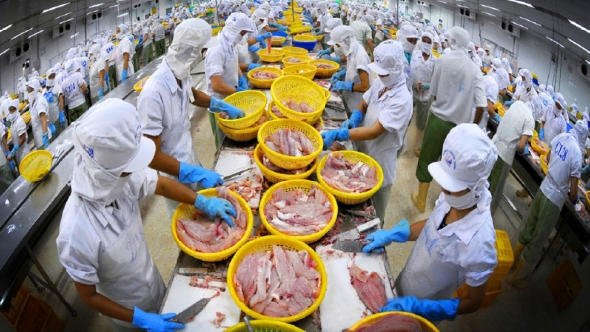 Vượt mặt Trung Quốc, Na Uy: Việt Nam vươn lên top 3 nhà cung ứng thuỷ sản lớn nhất tại đảo quốc sư tử