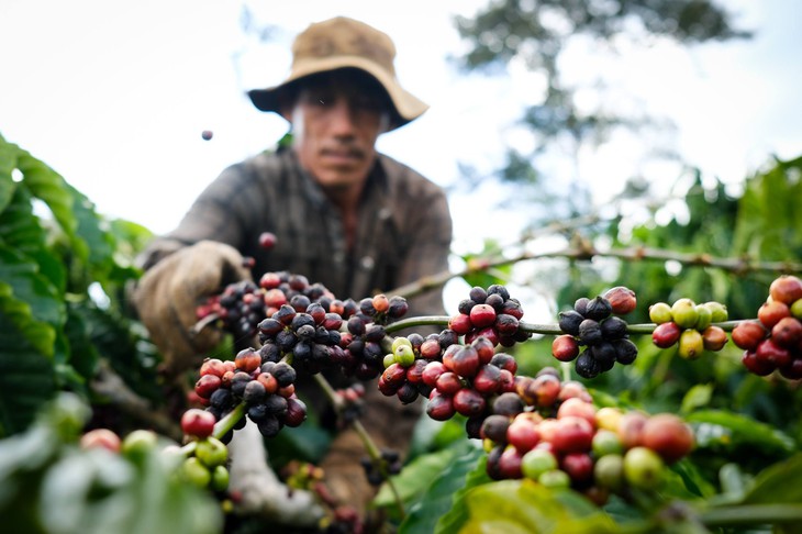 thủy sản - Ảnh 2.