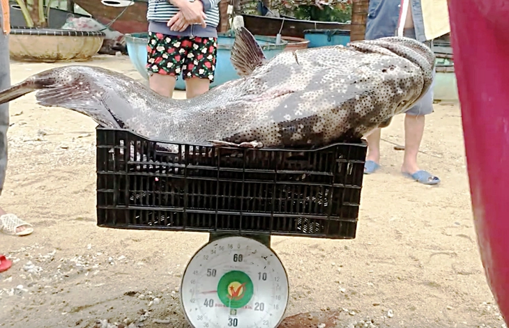 cần thủ - Ảnh 2.