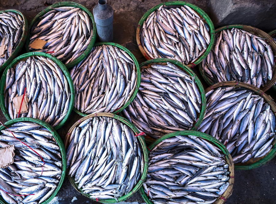 Thành quả sau những giờ lao động miệt mài là những mẻ cá, mực giữ được độ ngọt, đậm đà và không bị nát. 5.jpg