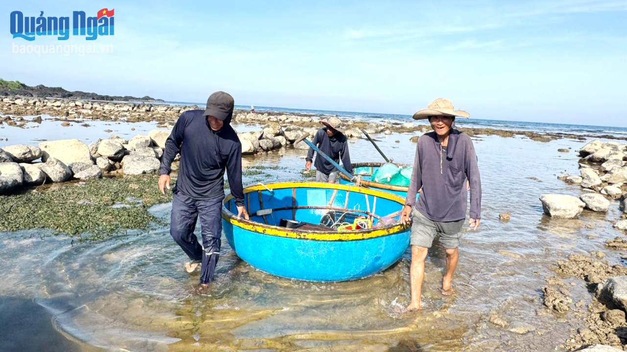 Ông Huỳnh Lam, ở thôn Thanh Thủy, xã Bình Hải (Bình Sơn) và những người bạn của mình kéo thúng vào bờ sau một chuyến biển.