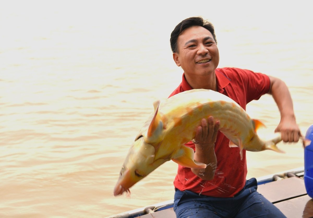 Anh Nguyễn Văn Tình bên con cá tầm nuôi trên sông Hồng, Hà Nội. Ảnh: Dương Đình Tường.