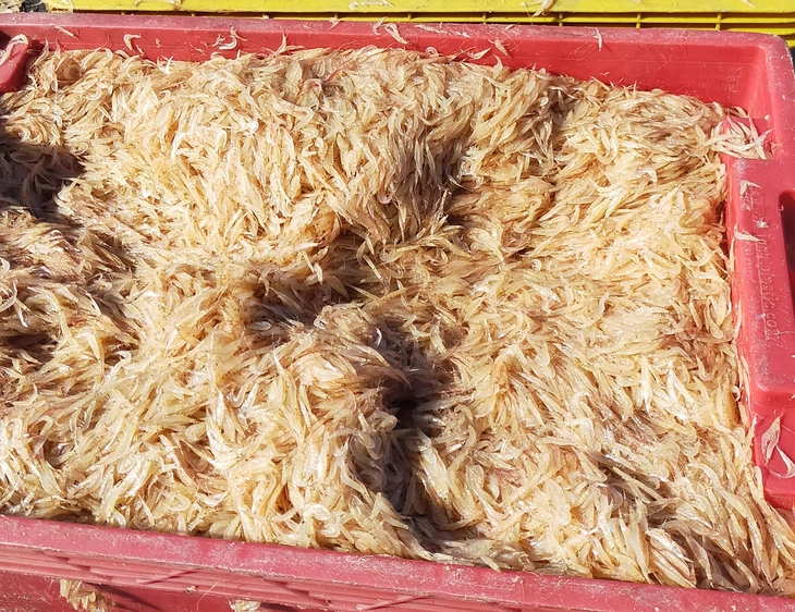 Đà Nẵng - Ảnh 6.