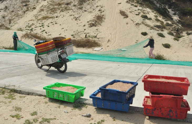 Đà Nẵng - Ảnh 3.