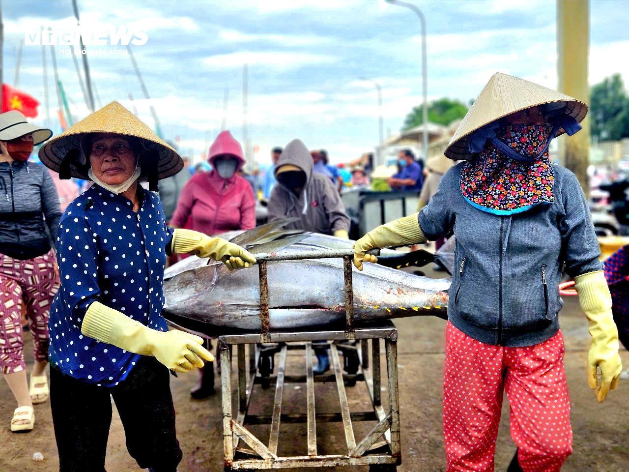 Về biển Đắk Lắk xem ngư dân câu được cá ngừ đại dương 60kg - 9