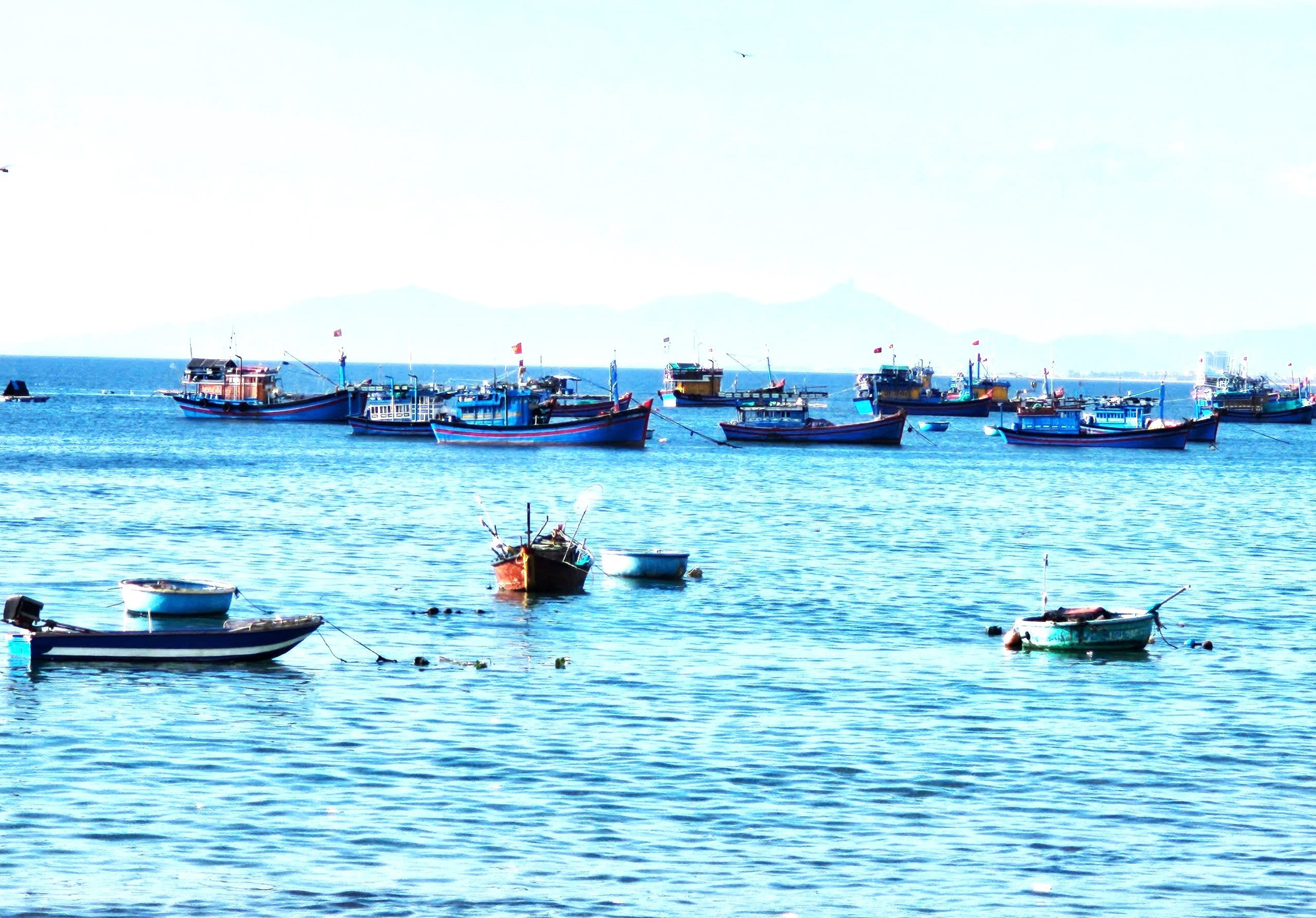 Vào dịp diễn ra Lễ hội cầu ngư, người dân sẽ tạm gác ra khơi. 121.jpg