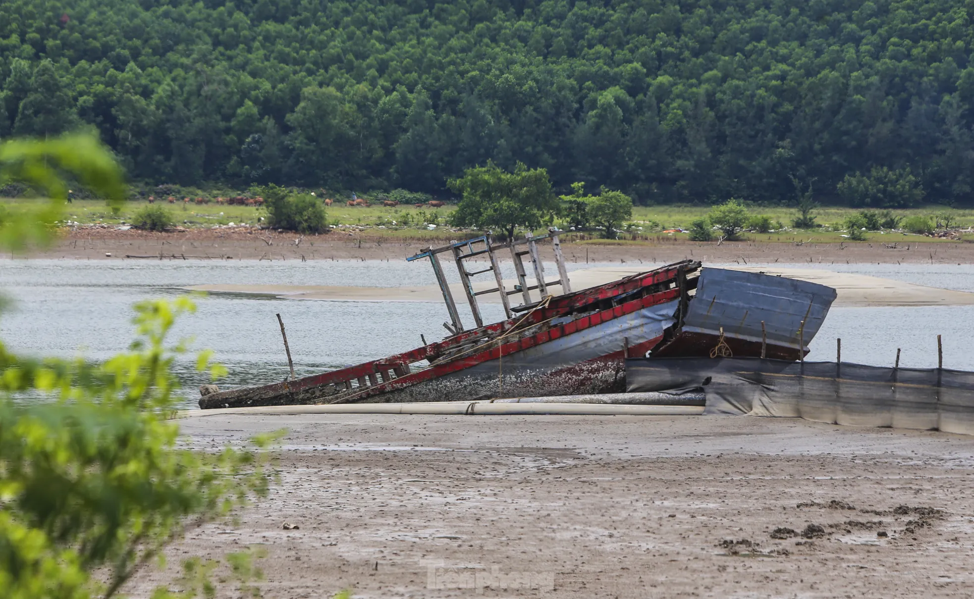 Xác 'tàu ma' nằm ngổn ngang dọc cửa sông, khu neo đậu ở Hà Tĩnh - 9