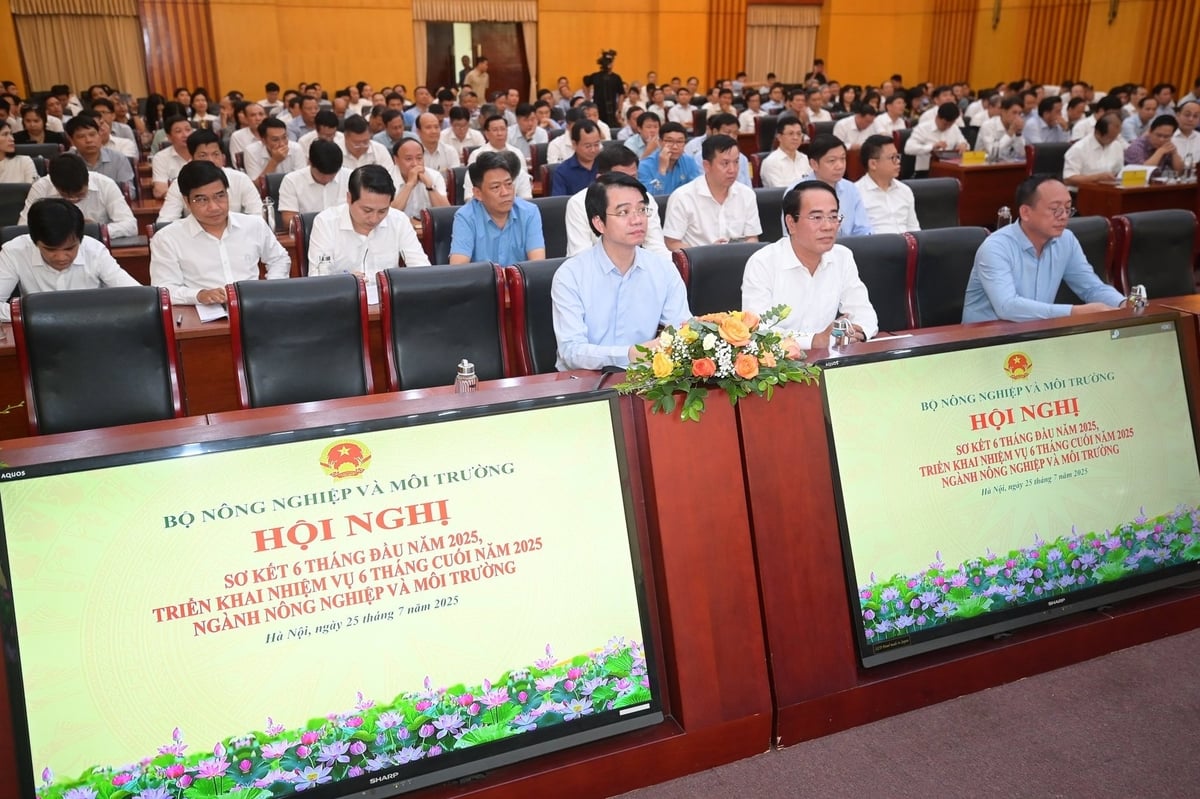 Các đại biểu tham dự Hội nghị chiều 25/7. Ảnh: Tùng Đinh.