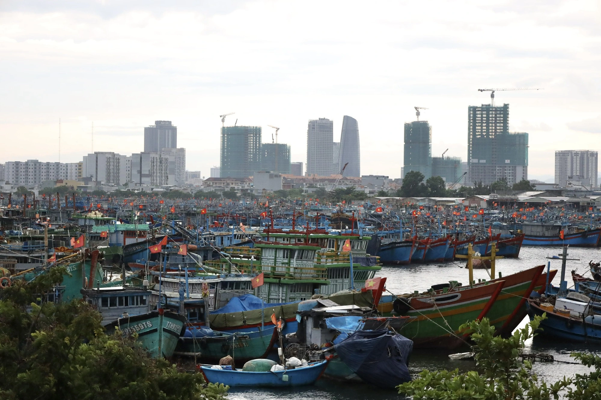 Bão số 5: Ngư dân miền Trung tất tả bốc cá, rời tàu về quê tránh bão- Ảnh 8.