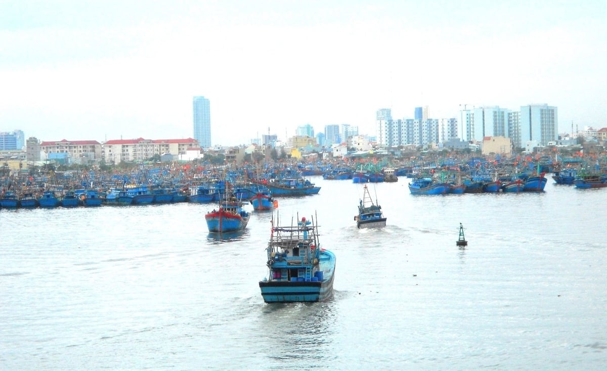 Đà Nẵng quyết liệt giải quyết dứt điểm các tồn tại, hạn chế trong khai thác IUU nhằm mục tiêu xây dựng nghề cá bền vững. Ảnh: Lan Anh.
