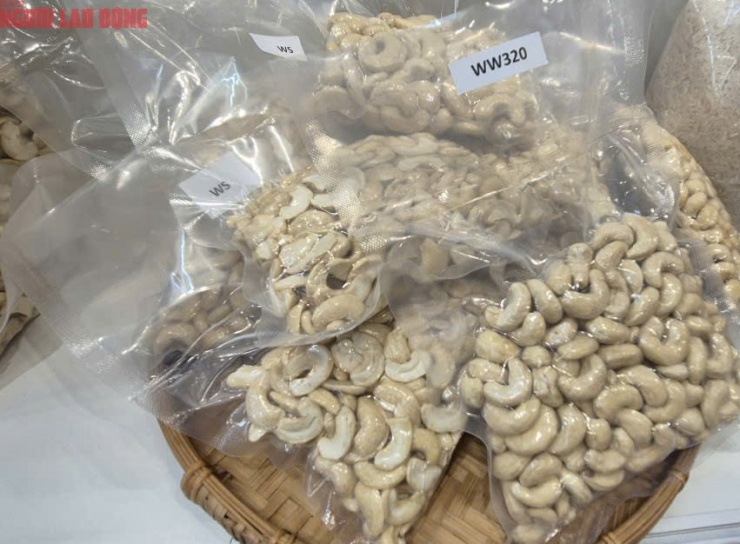 Ngành hạt điều chịu sức ép tại thị trường Mỹ bởi thuế đối ứng