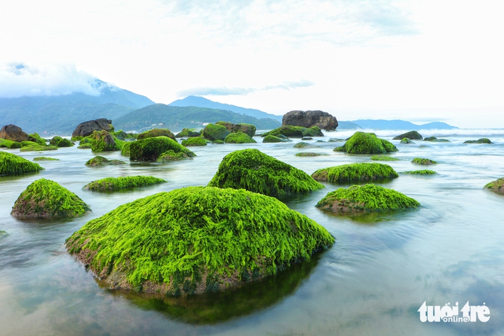 Khám phá làng chài cổ bên bờ biển Đà Nẵng - Ảnh 1.