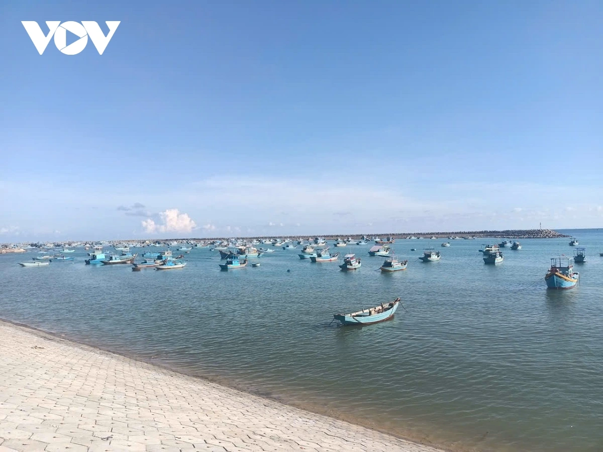 lâm Đồng quyết tâm gỡ thẻ vàng iuu sớm nhất hình ảnh 3 lam Dong quyet tam go the vang iuu som nhat hinh anh 3