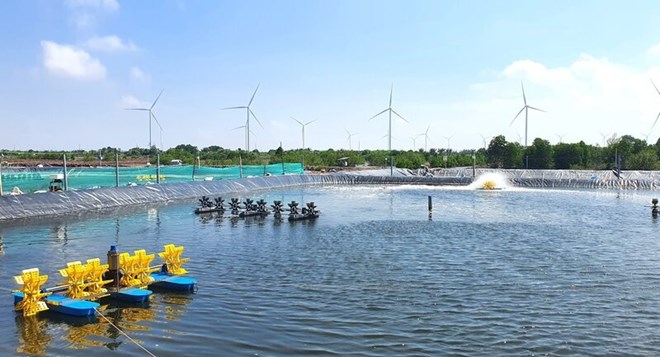 Doanh nghiệp Cà Mau tính toán chuyện làm ăn sau hợp nhất