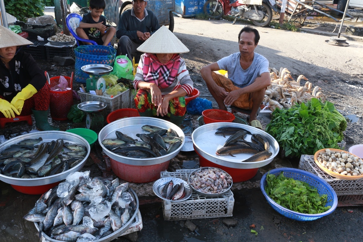 Miệt Thứ có còn xa lắc xa lơ - Kỳ 3: Cuộc đổi thay chầm chậm trên quê hương Sơn Nam - Ảnh 3. miệt thứ - Ảnh 4.