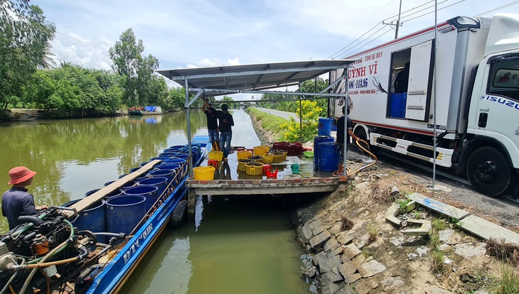 Miệt Thứ có còn xa lắc xa lơ - Kỳ 3: Cuộc đổi thay chầm chậm trên quê hương Sơn Nam - Ảnh 4. miệt thứ - Ảnh 5.