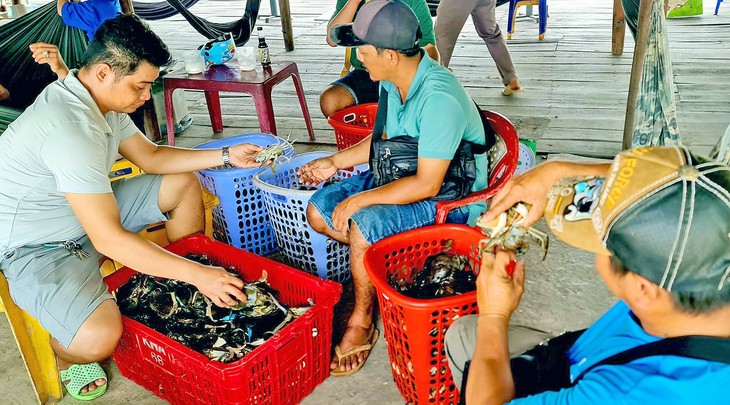 Miệt Thứ có còn xa lắc xa lơ - Kỳ cuối: Mâm cua lột, tôm càng đổi đời Miệt Thứ - Ảnh 4. Miệt Thứ - Ảnh 4.