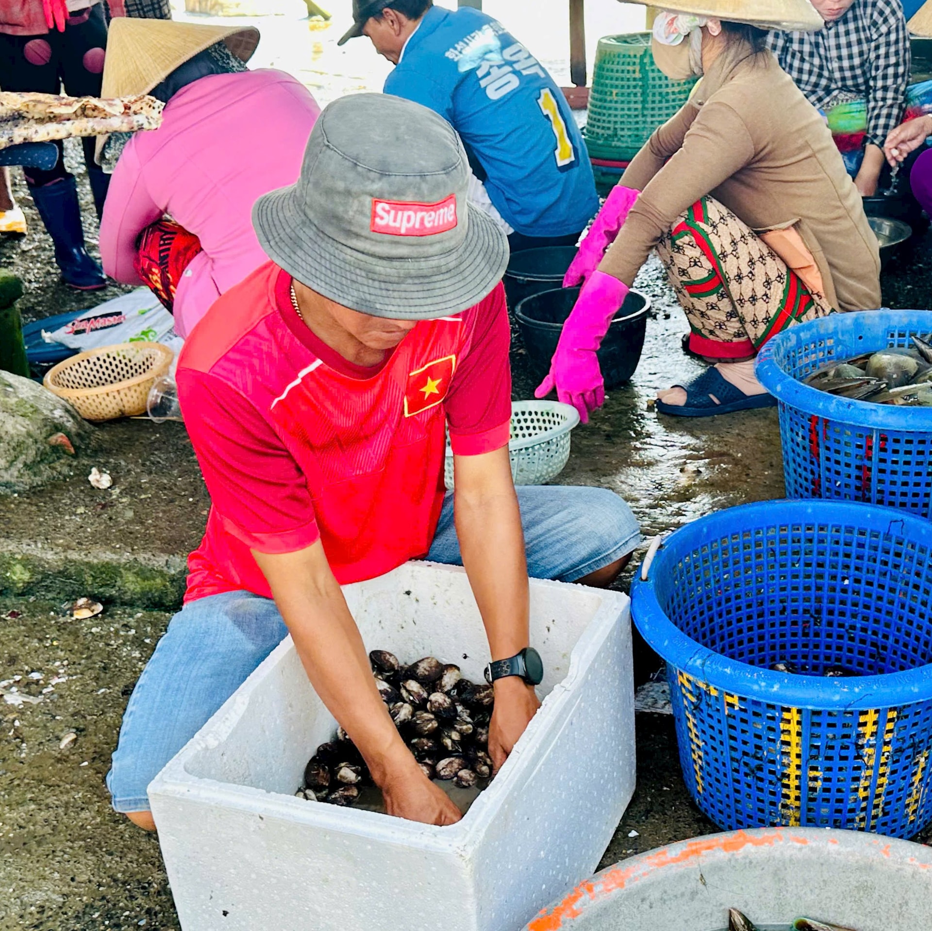 Sò lông được bán sỉ và lẻ ngay tại chỗ