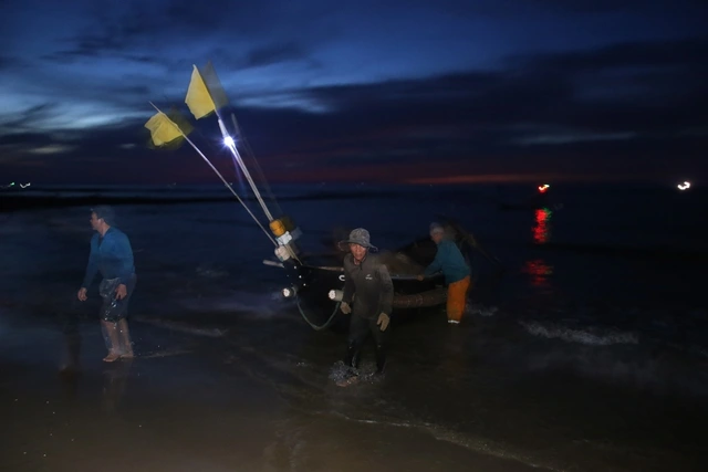 Ngư dân Vịnh Mốc trúng đậm cá trích- Ảnh 1.