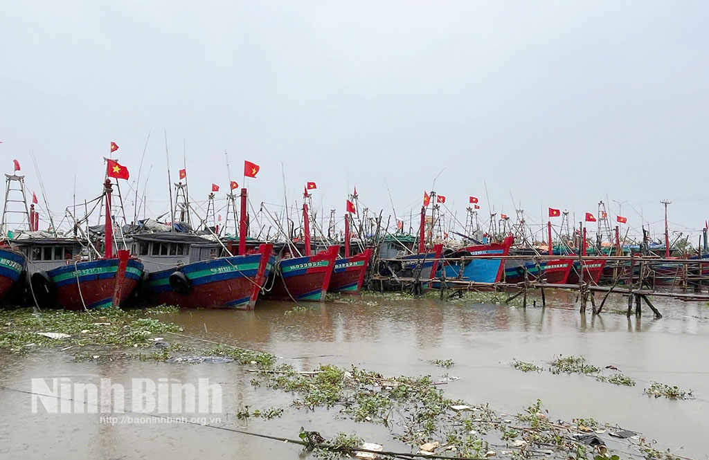 Toàn tỉnh có 630 Giấy phép khai thác thủy sản vùng khơi. Ảnh: Văn Đại