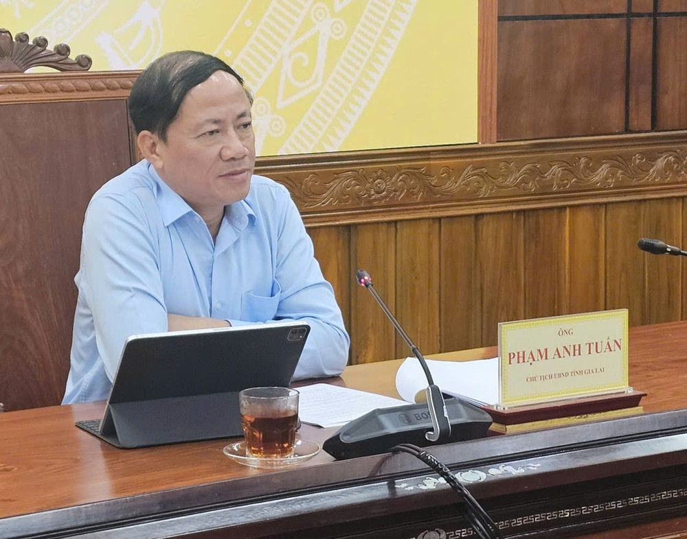 Chủ tịch UBND tỉnh Phạm Anh Tuấn chủ trì cuộc họp. Ảnh: Đức Hải