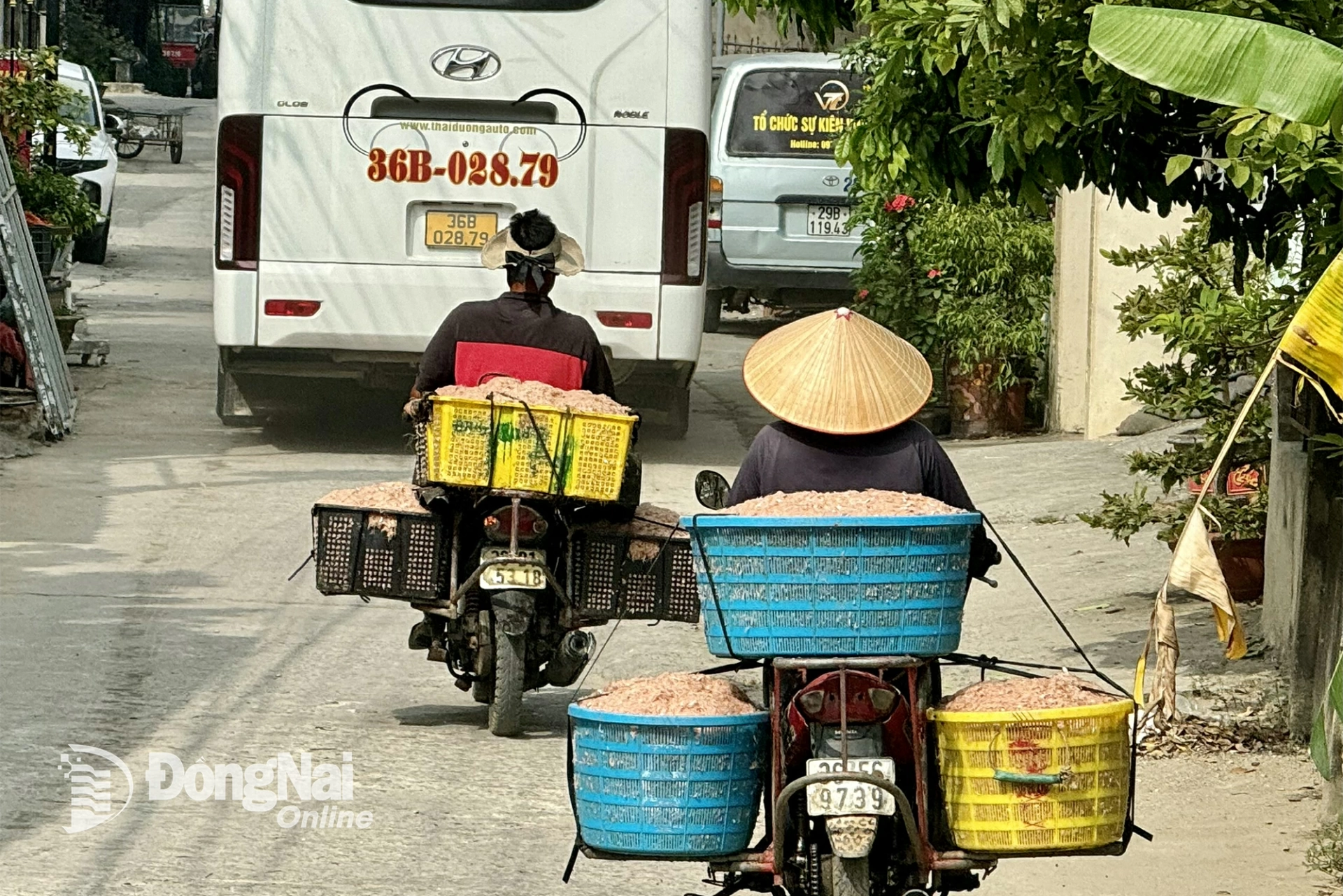 Ngư dân ở vùng biển Tiến Hải (tỉnh Thanh Hóa) chở con ruốc, một trong những nguyên liệu để sản xuất các loại mắm truyền thống.