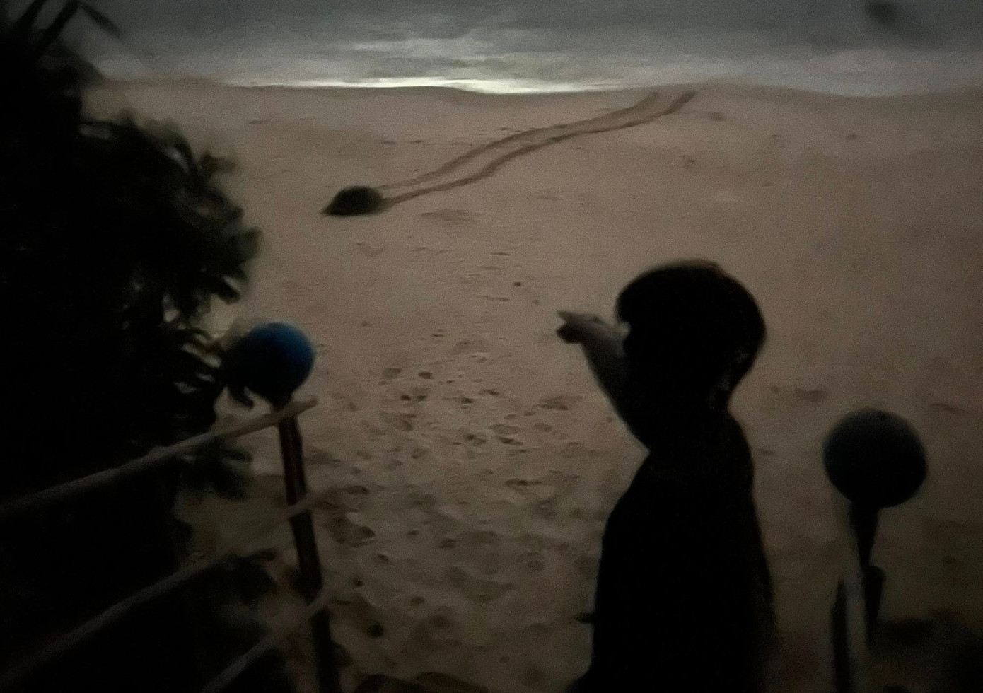 518954638-9495824640518557-2864955008053760922-n.jpg