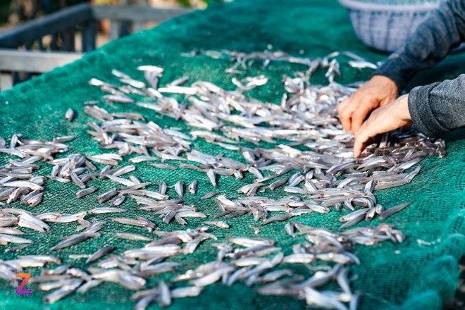 Bich Dam Nha Trang anh 20