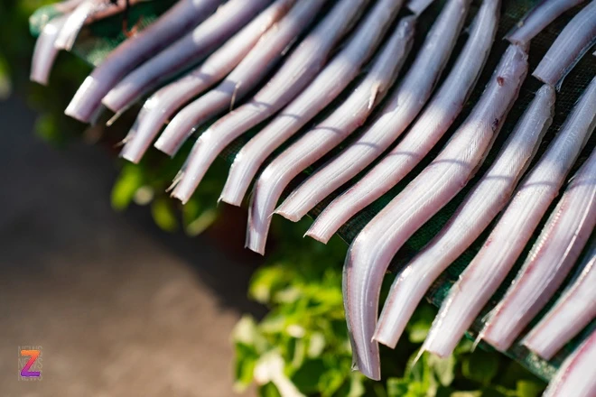 Bich Dam Nha Trang anh 19