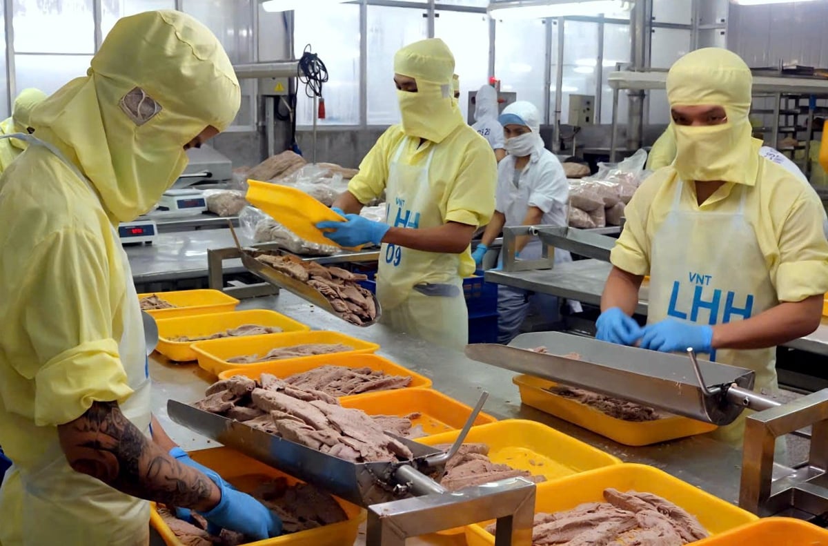 Nhà máy chế biến cá ngừ xuất khẩu. Ảnh: Kim Sơ.