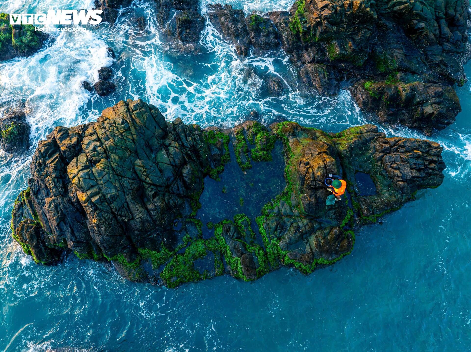 Chênh vênh đu gành, bám đá cạo rong mứt ở biển Gia Lai - 2