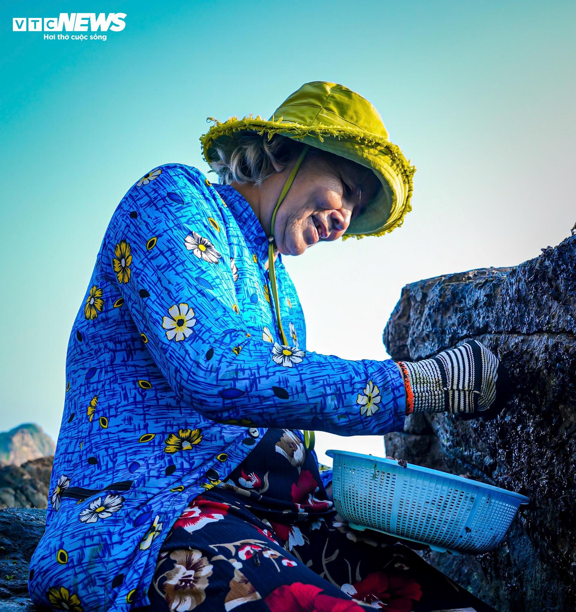 Chênh vênh đu gành, bám đá cạo rong mứt ở biển Gia Lai - 11