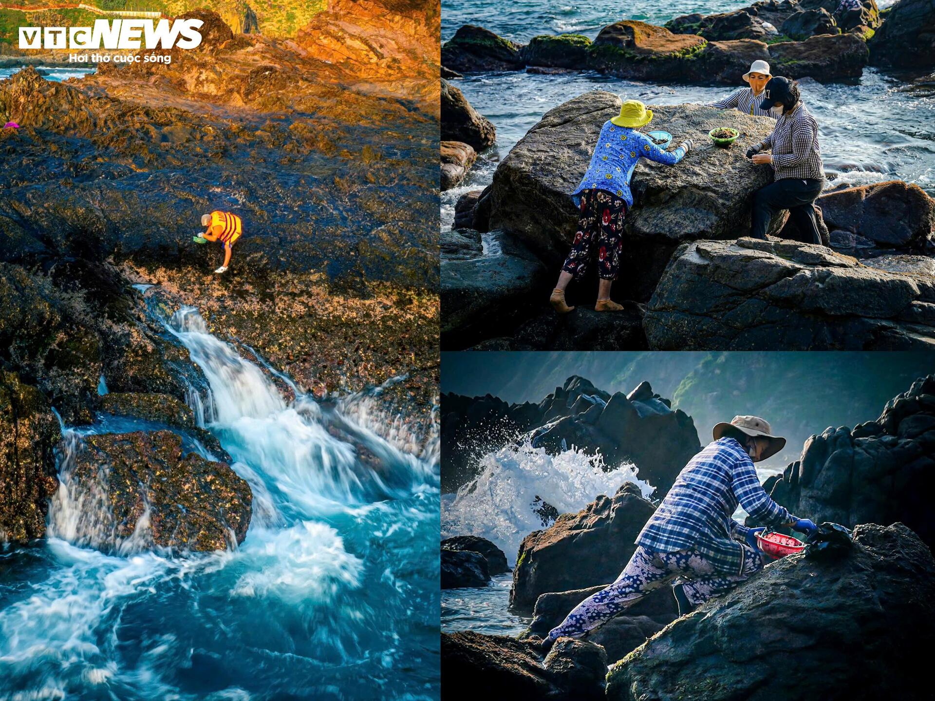 Chênh vênh đu gành, bám đá cạo rong mứt ở biển Gia Lai - 12