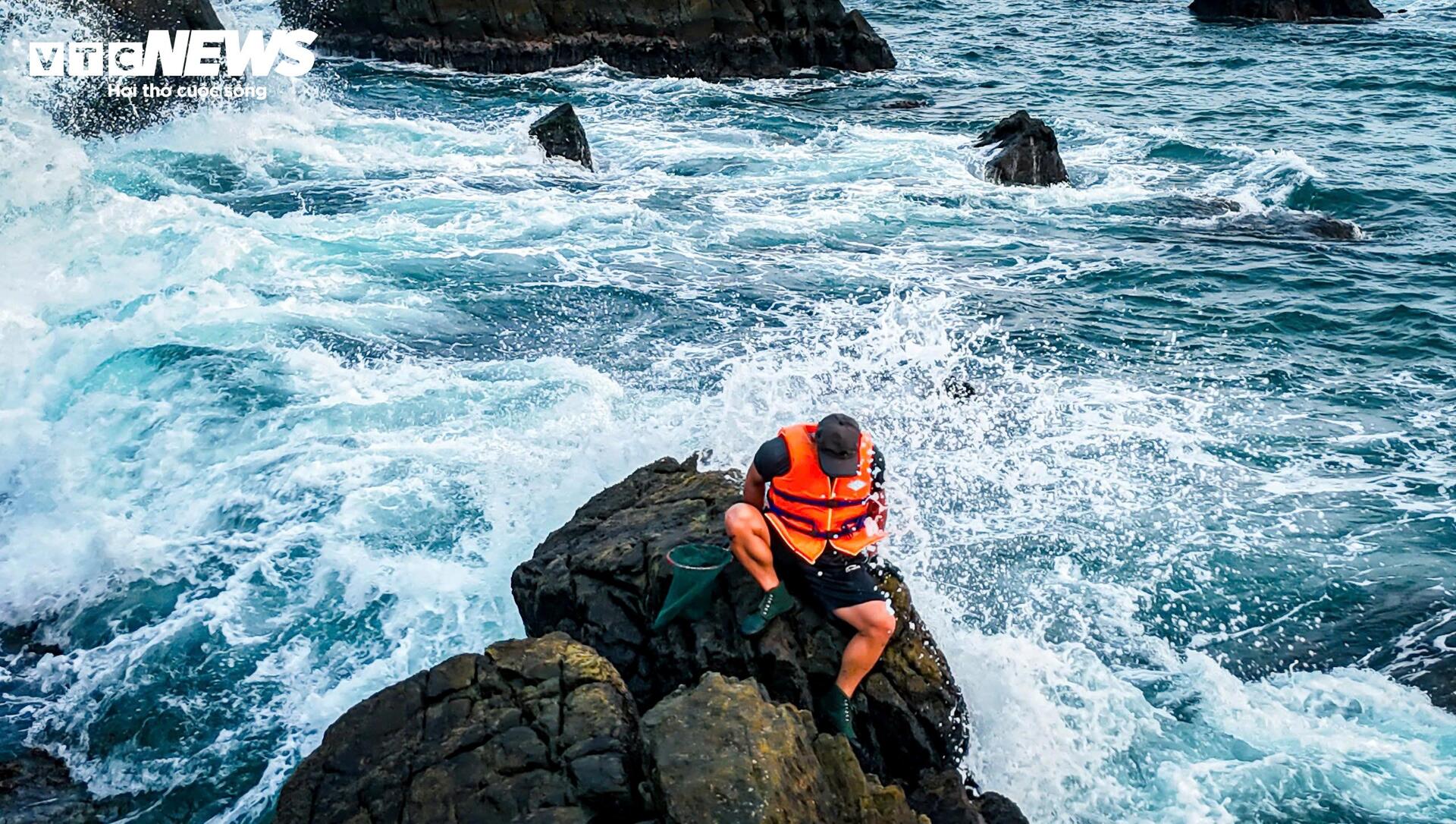 Chênh vênh đu gành, bám đá cạo rong mứt ở biển Gia Lai - 6