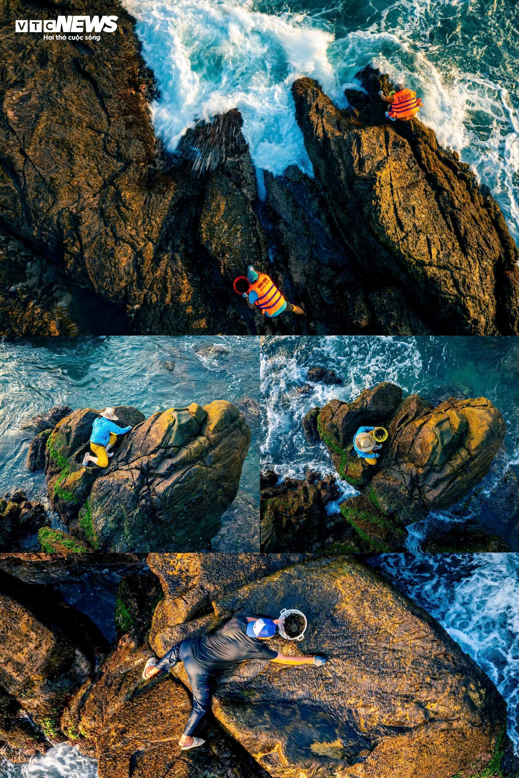 Chênh vênh đu gành, bám đá cạo rong mứt ở biển Gia Lai - 7