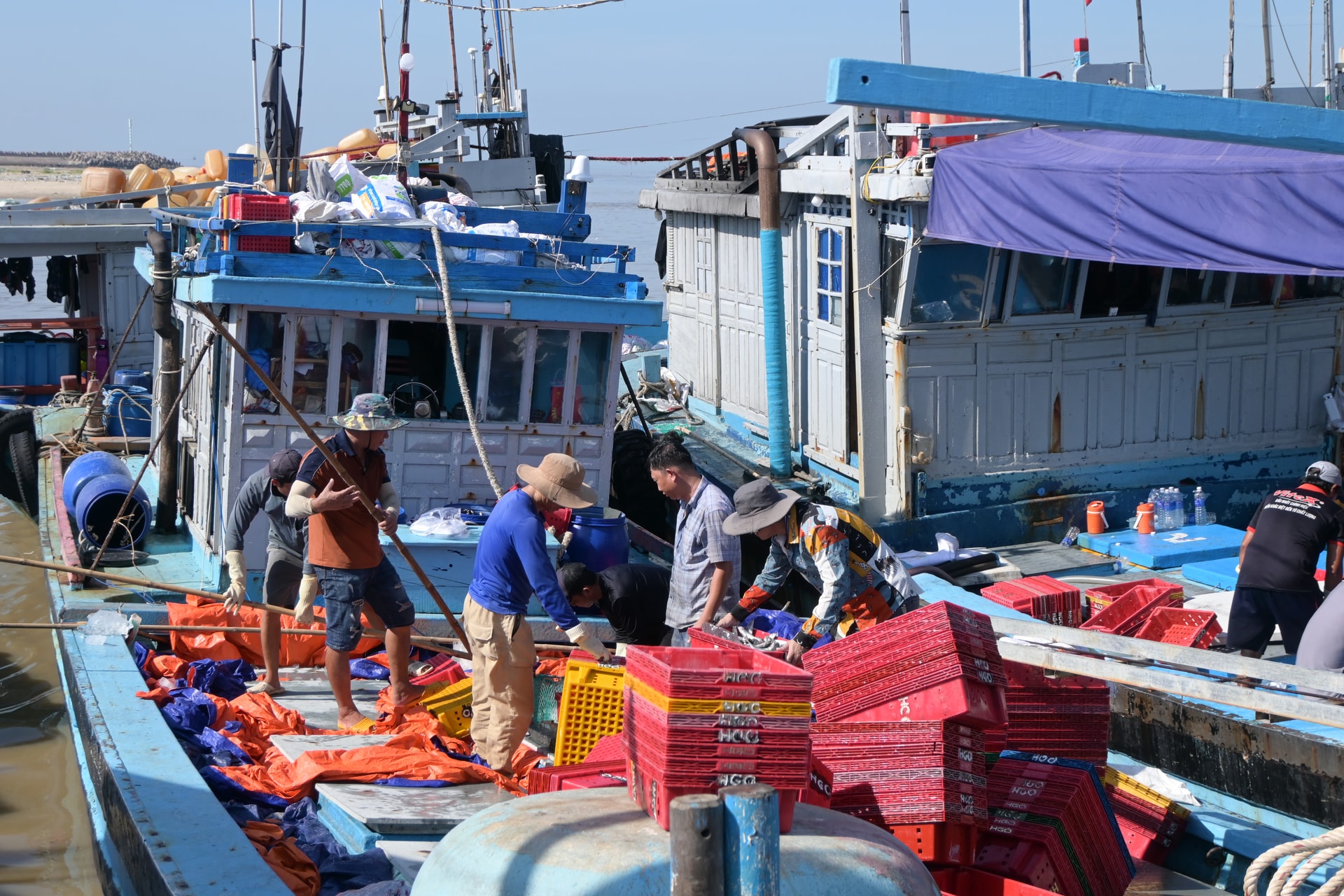 Ghi nhận vào sáng ngày 12/9, từ sáng sớm, tàu của ngư dân Lâm Đồng chở đầy ắp cá nục cập bờ, báo hiệu mùa đánh bắt đã vào vụ chính. 8 giờ sáng tại cảng cá Phan Thiết (phường Phan Thiết - tỉnh Lâm Đồng) rất nhộn nhịp khi tàu thuyền liên tục cập bến đem theo những khoang cá đầy