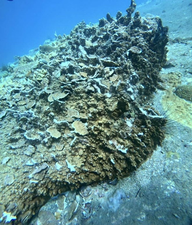 Địa phương đang tăng cường kiểm soát