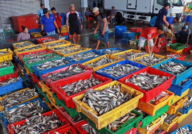 Cà Mau siết chặt truy xuất nguồn gốc, nâng chuẩn thủy sản xuất khẩu - Ảnh 3.