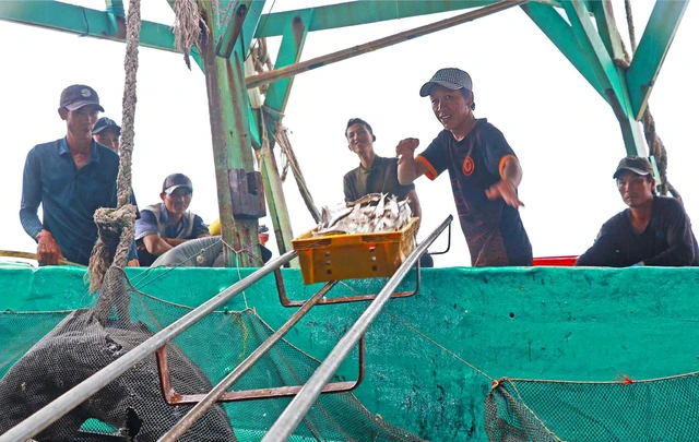 Cà Mau siết chặt truy xuất nguồn gốc, nâng chuẩn thủy sản xuất khẩu - Ảnh 4.