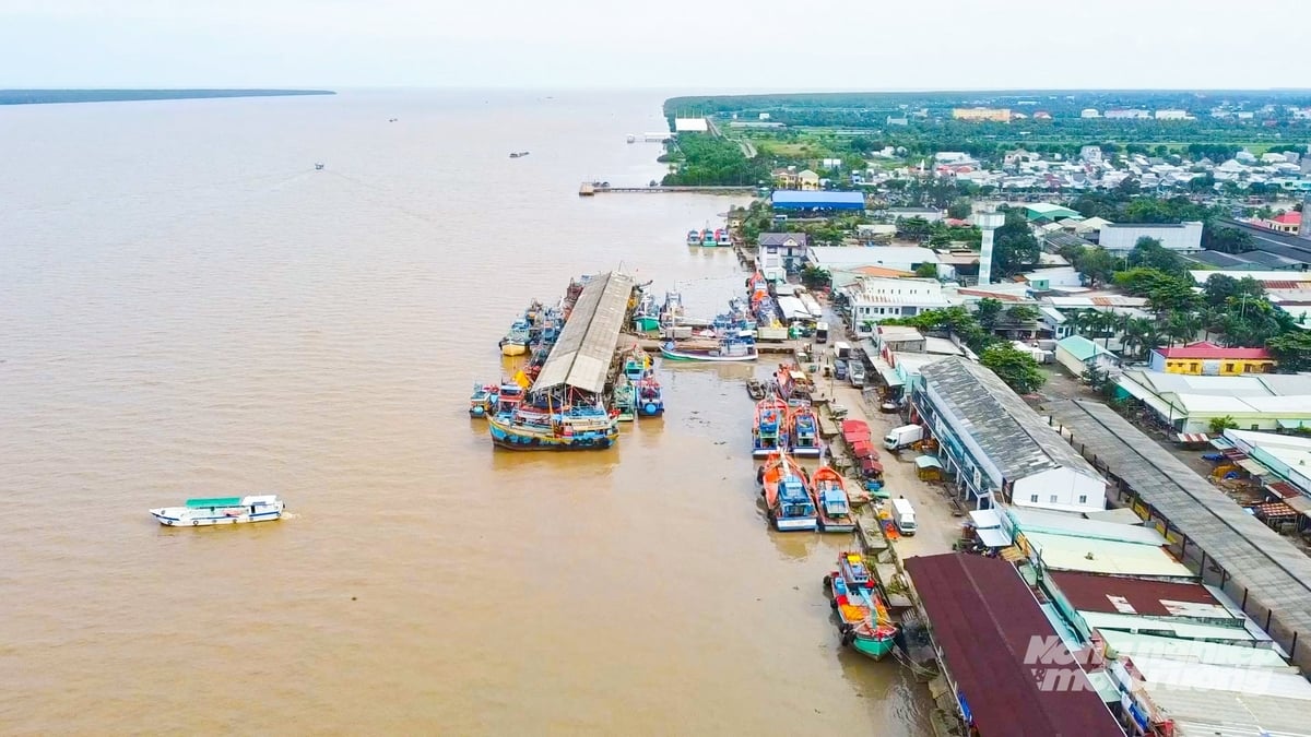 Toàn cảnh Cảng cá Trần Đề, trung tâm neo đậu, bốc dỡ hải sản lớn của TP Cần Thơ. Ảnh: Văn Vũ. Toàn cảnh Cảng cá Trần Đề, trung tâm neo đậu, bốc dỡ hải sản lớn của TP Cần Thơ. Ảnh: Văn Vũ.