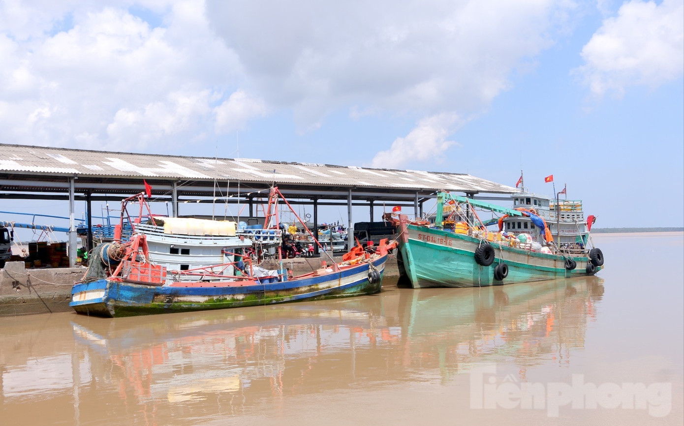 Cảng cá Trần Đề, một trong những cảng cá lớn và quan trọng nhất khu vực Đồng bằng sông Cửu Long. img-7203-8139.jpg