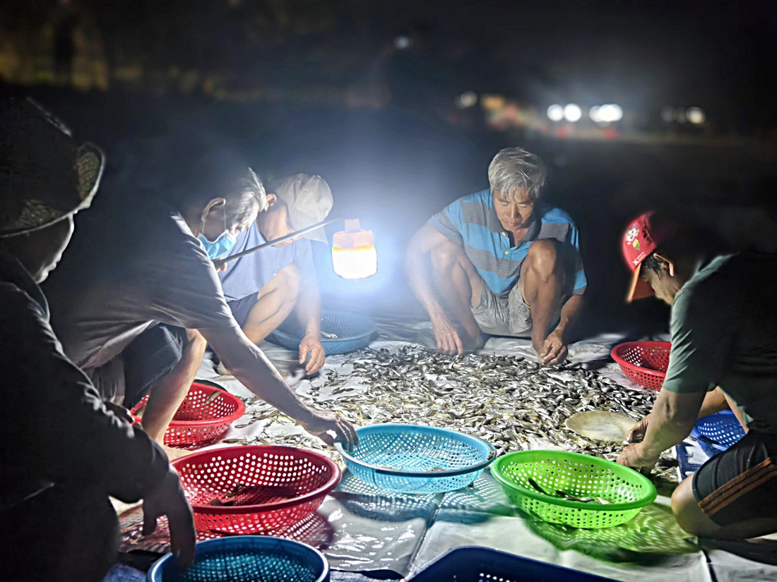 Chợ cá lúc bình minh ven biển Đà Nẵng - Ảnh 3.