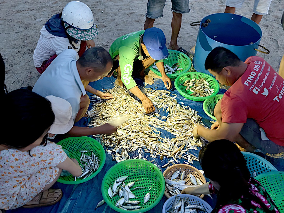 Chợ cá lúc bình minh ven biển Đà Nẵng - Ảnh 4.