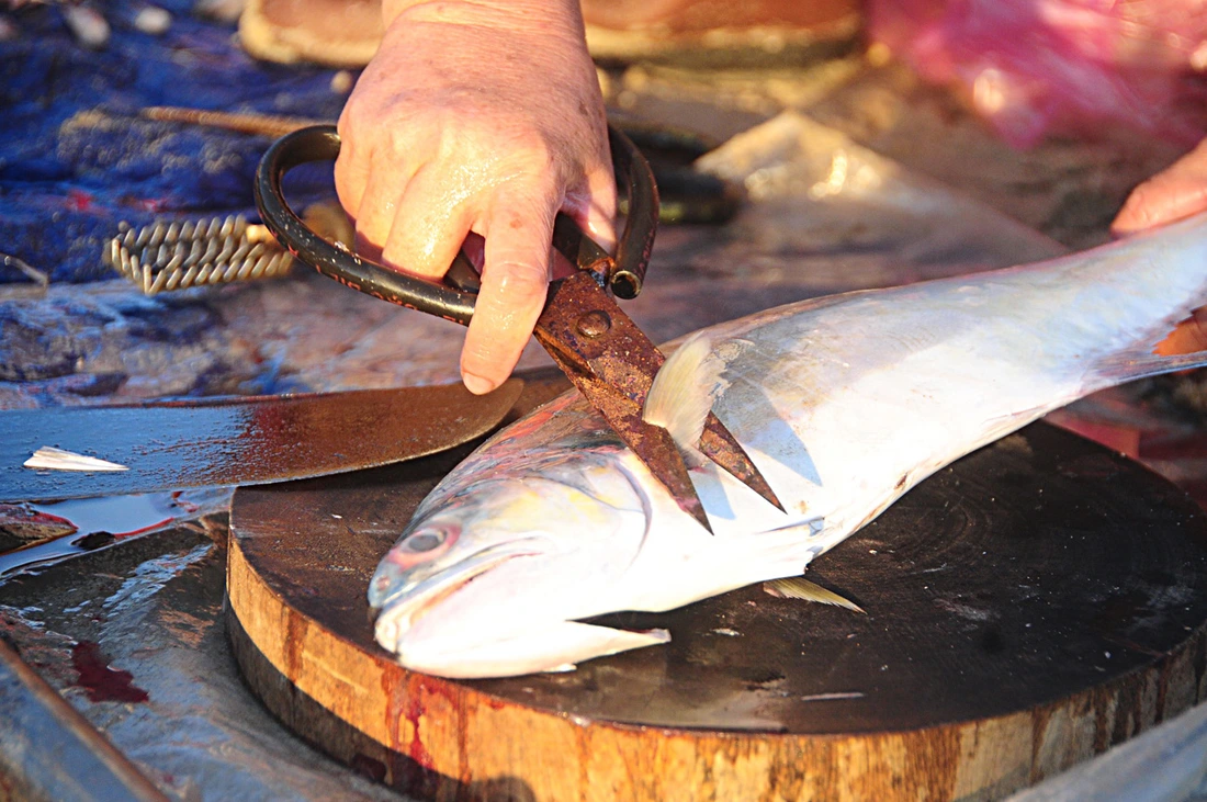 Chợ cá lúc bình minh ven biển Đà Nẵng - Ảnh 6.