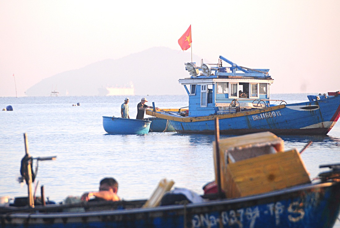 Chợ cá lúc bình minh ven biển Đà Nẵng - Ảnh 7.